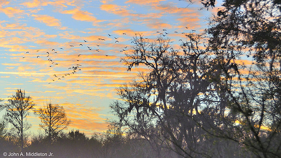 Sunrise Flight