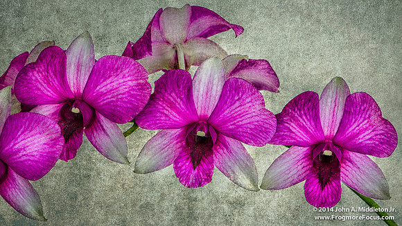 Den Hiang Beauty
