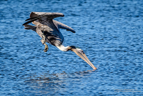 Prelude to Splashdown